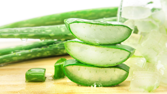 Manfaat Lidah Buaya untuk Bayi Foto: Shutterstock