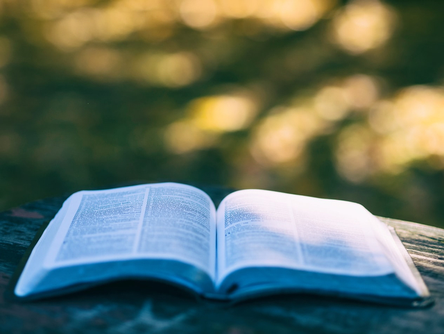 Ilustrasi Ayat Alkitab Tentang Masa Depan dan Harapan Foto: Unsplash