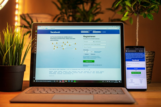 Ilustrasi Facebook (Foto: Pixabay)