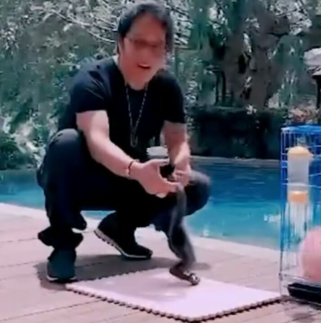 Screenshot video saat Bupati Badung Nyoman Giri Prasta bermain dengan Owa Siamang - IST