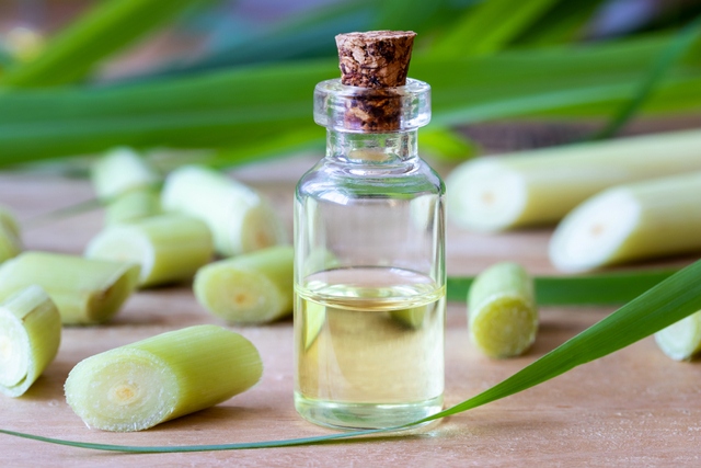 Ilustrasi Lemongrass Oil. Foto: Shutter Stock