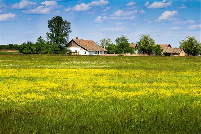 Dataran rendah adalah bagian dari permukaan bumi yang memiliki ketinggian 0-200 mdpl. Sumber: Pixabay.com