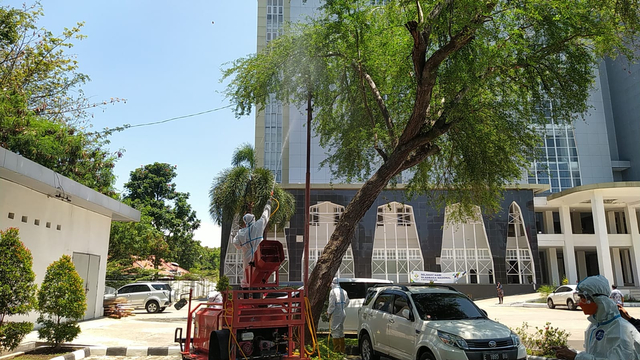 Petugas BPBD diterjunkan ke lokasi mati massalnya burung pipit di Balai Kota Cirebon, untuk menyemprotkan cairan disinfektan. FOTO: Anatasya/CIREMAITODAY