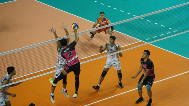 Pemain Timnas Voli Indonesia (Foto: Nugroho Sejati/kumparan)