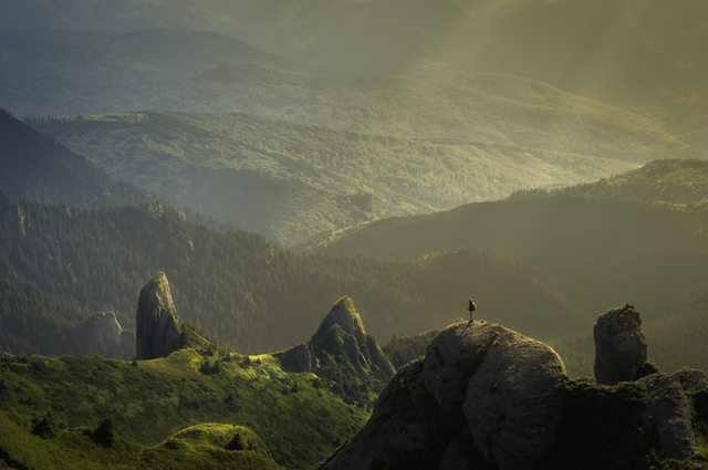 Apa arti penting lingkungan bagi manusia. Foto: Unsplash