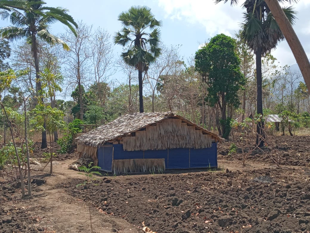 Pondok semi permanen atau hunian sementara warga Ile Ape dan Ile Ape Timur di lokasi perkebunan Parek Walang, Waisesa, Pukai Onen, Koliwolor dan Wai Gokok. Kamis (23/9). Foto : Teddi Lagamaking