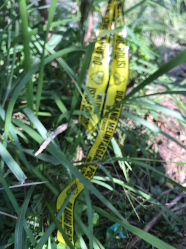 Warga Depok temukan mayat di semak-semak di Jalan Patoembak, Kelurahan Harjamukti, Kecamatan Cimanggis. Foto: Dok. Istimewa