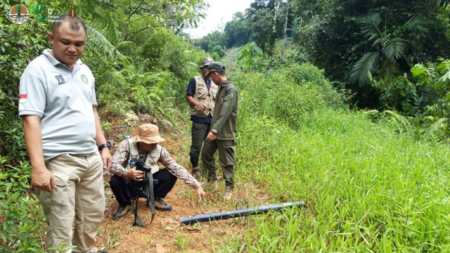 Petugas BKSDA mengecek lokasi warga diserang beruang madu di Nagari Kapelgam, Koto Berapak, Kecamatan Bayang, Kabupaten Pesisir Selatan, Sumbar. Foto: Instagram/@bksda_sumbar
