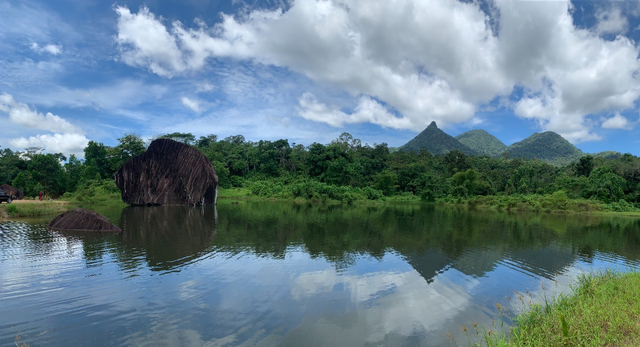 Manfaat Konservasi Alam, Foto:Manfaat Konservasi Alam, Foto: djkn.kemenkeu.go.id 