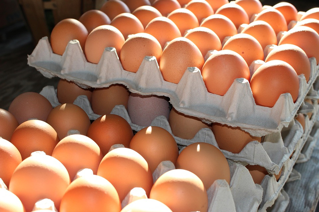 Lapisan apa saja yang terdapat pada telur dan bawang merah. Foto: Pixabay