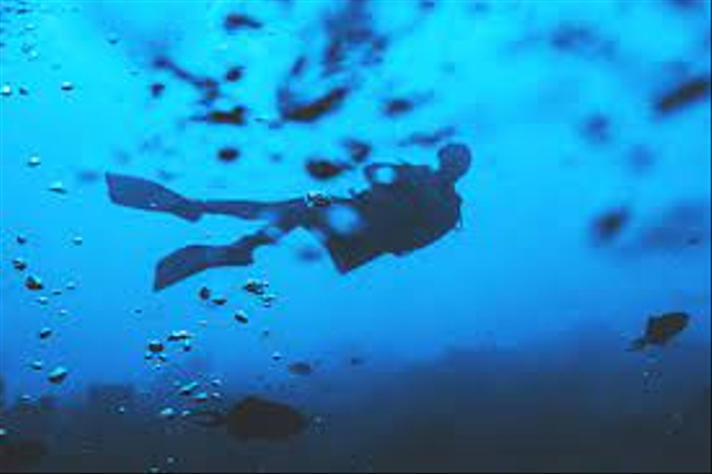 Ilustrasi palung laut. FotO; dok. https://unsplash.com/