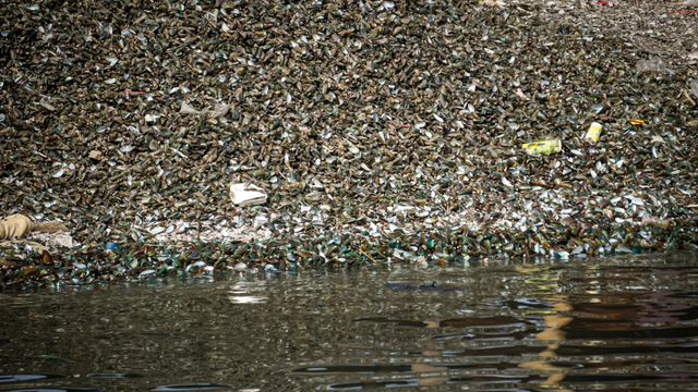 Sejumlah kerang hijau terlihat di kawasan Muara Angke, Jakarta Utara, Sabtu (2/10). Foto: Iqbal Firdaus/kumparan