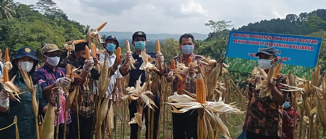 Pengembangan Desa dengan Potensi yang Ada dalam Desa, Sumber Foto : Penulis