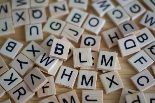 Ilustrasi kata umum adalah kata yang maknanya bersifat umum atau luas. Sumber: Unsplash