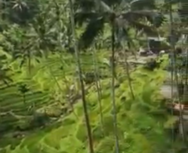 Lokasi yang disebut sebagai tempat wisata baru di Singkawang. Foto: Dok Hi!Pontianak