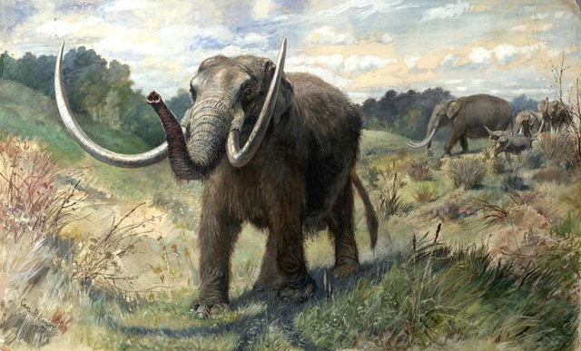 Ilustrasi Mastodon. Foto: Charles R. Knight via Wikimedia Commons