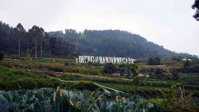 Kawasan Dataran Tinggi Dieng, Banjarnegara Foto: Gitario Vista Inasis/kumparan