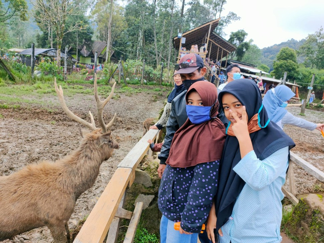 Sumber pribadi