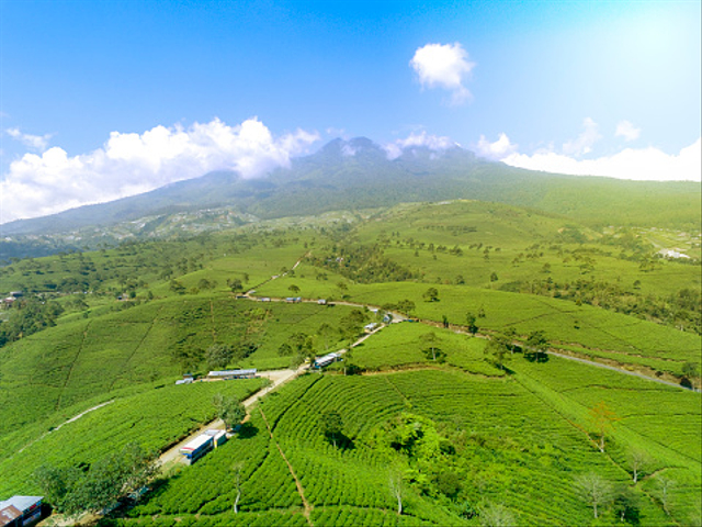 Makna Pupuh Kinanti, Foto: Pixabay 