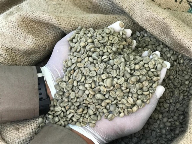 Kopi Bali Kintamani - dok. Dept Pertanian