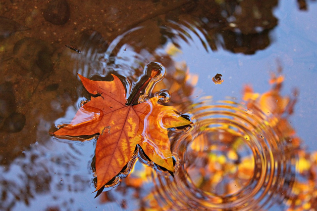 Illustrasi Takdir Allah. Foto: Pixabay