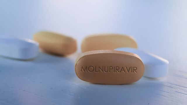 Ilustrasi Molnupiravir. Foto: Shutter Stock