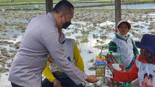 Satgas Operasi Madago Raya sebar poster DPO teroris Poso hingga ke Sawah di Parigi Moutong, Sulteng, Kamis (7/10). Foto: Satgas Operasi Madago Raya