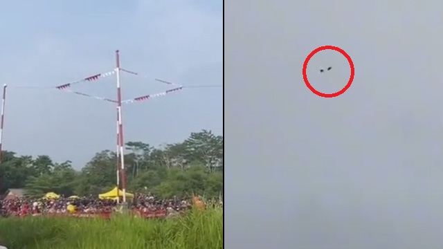 Merpati balapan. (Foto: @putraakashi/TikTok)