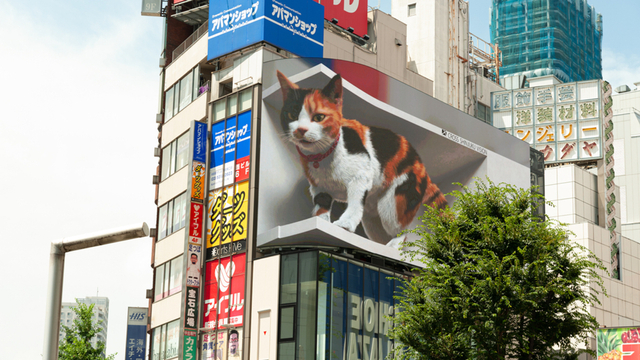 Ilustrasi Shinjuku City Tokyo. Foto: Shutter Stock