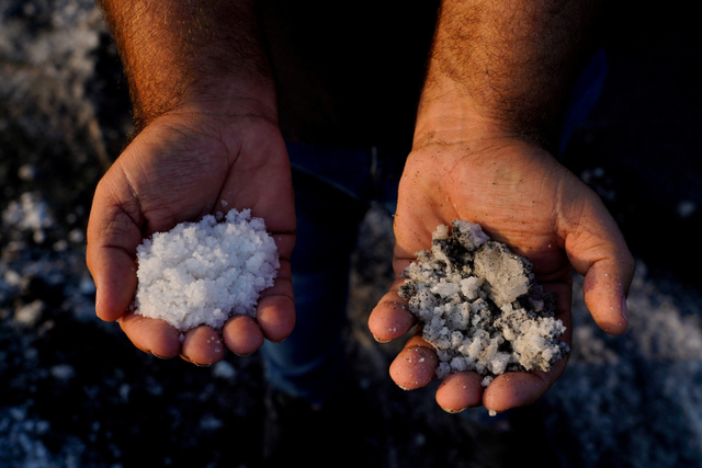 Andres Hernandez menunjukkan garam yang terkena abu vulkanik yang disebabkan oleh letusan gunung berapi Cumbre Vieja, di Fuencaliente, di Pulau Canary La Palma, Spanyol. Foto: Juan Medina/REUTERS