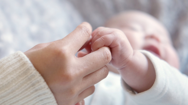 Bayi genggam tangan orang dewasa. Foto: Shutterstock
