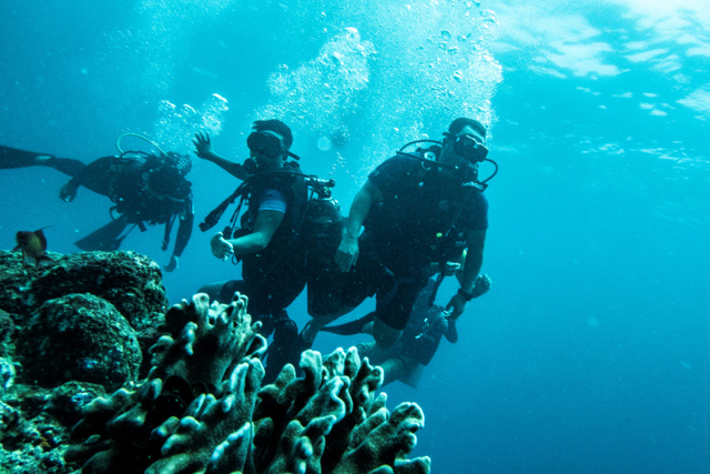 Wisatawan melakukan penyelaman di lokasi menyelam Batee Tokong, Sabang, Aceh, Sabtu (9/10).  Foto: Muhammad Adimaja/ANTARA FOTO