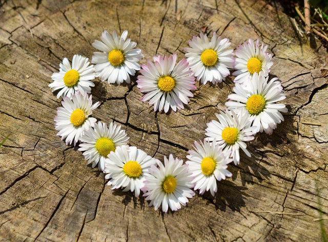 Kejujuran dalam suatu hubungan berarti selalu mengatakan yang sebenarnya kepada pasangan kalian dan benar-benar terbuka baik dalam hal besar maupun kecil. Foto. dok: Pixabay
