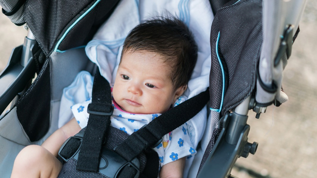  Terlalu Sering di Stroller Bisa Ganggu Tumbuh Kembang Bayi. Foto: Shutterstock