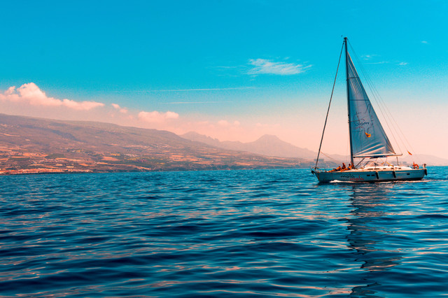 Kata-Kata Pelaut Lucu, Foto: Pexels/Szelei Robert.