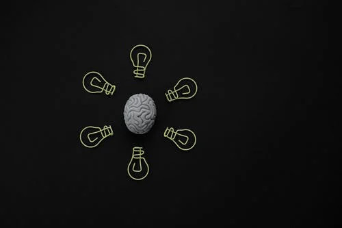 https://www.pexels.com/id-id/@ekaterina-bolovtsova - kunci jawaban brain test level 88