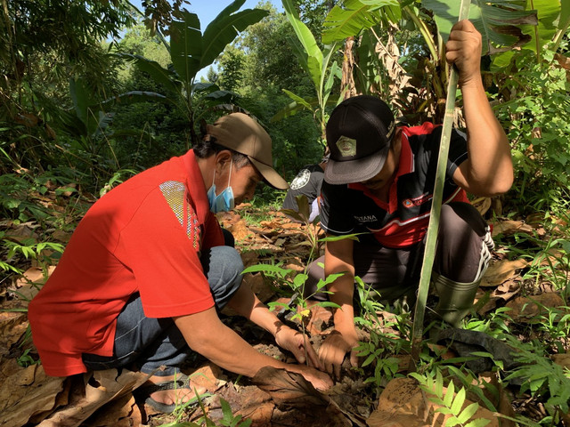 Penanaman pohon di area sekitar hutan sebagai antisipasi kelangkaan pangan sata bencana - IST