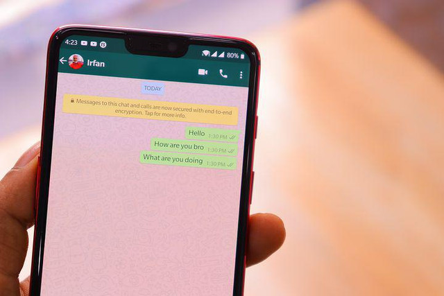 Ilustrasi Cara React di WhatsApp                            Sumber www.pixabay.com