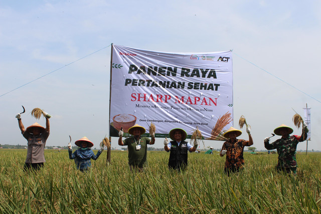 Global Wakaf-ACT bersama Sharp dan sejumlah pihak lainnya bekerja sama mendorong kemandirian pangan di Indonesia melalui program Wakaf Sawah Produktif.