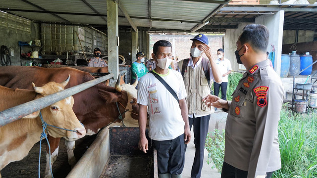 Polisi dan petugas Dinas Peternakan dan Pertanian Sukoharjo memantau kondisi sapi di peternakan kawasan Bendosari, Sukoharjo, Jumat (13/05/2022). FOTO: Agung Santoso