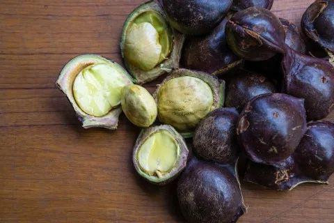 Ilustrasi jengkol | Foto: Shutterstock