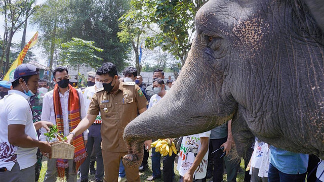 Wali Kota Medan Bobby Nasution bersama Raffi Ahmad saat mengunjungi Medan Zoo, Selasa (17/5/2022). Foto: Dok. Istimewa