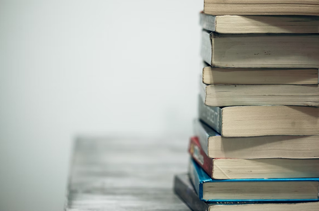 Ilustrasi Contoh penerapan dari sistem pengetahuan dalam masyarakat . Foto: unsplash.com/sharonmccutcheon
