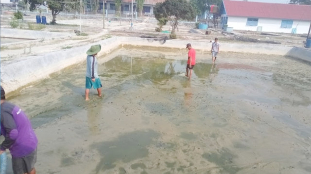 Balai Benih Ikan (BBI) Pinang Merah yang dikelola oleh Dinas Perikanan Kobar. Foto: IST/InfoPBUN