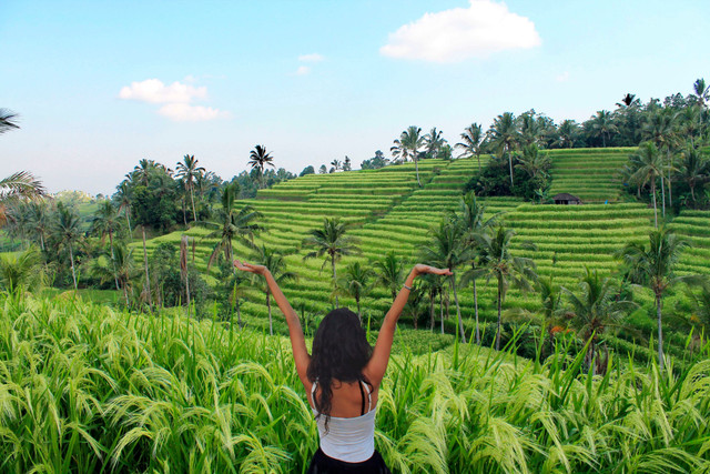 Sawah Jatiluwih, Bali. Foto: Indira Gimeno/Shuttertsock