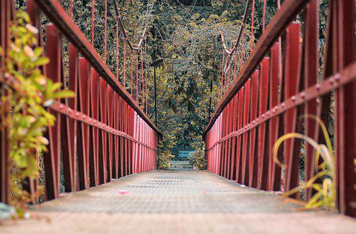 Rekomendasi Wisata Bogor untuk Anak Muda, foto:pixabay.com/kebun-raya
