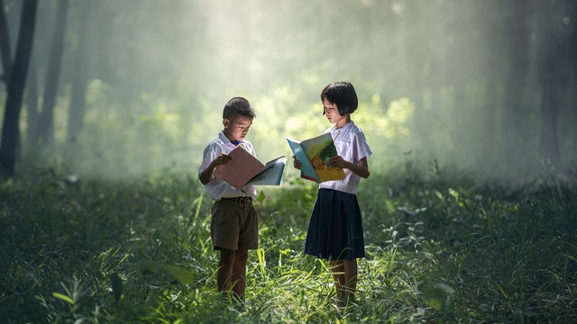 Ilustrasi literasi (pixabay.com)