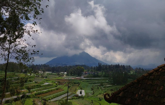 Pemandangan Gunung Merbabu dilihat dari tempat wisata Embun Merbabu (Dok. Pirbadi)