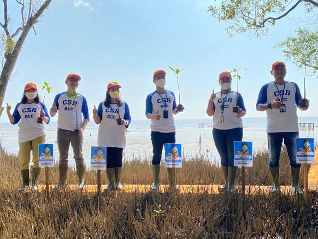 Penghijauan di Kalbar, ACC Tanam 2.500 Pohon Mangrove di Ekowisata Telok Bediri