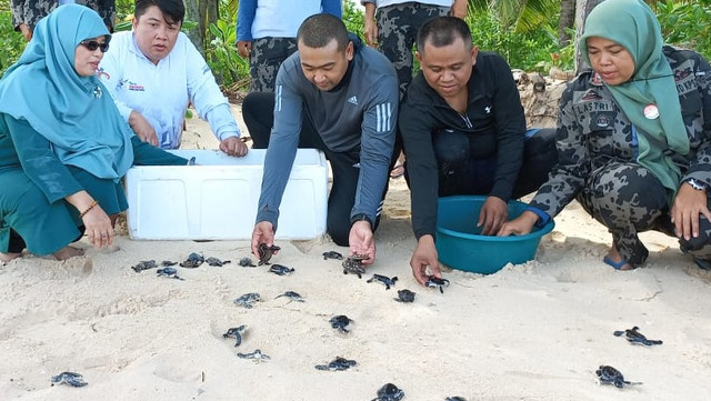Wakil Gubernur Sumatera Barat Audy Joinaldy (tengah) melepas tukik (anak penyu) di di Pulau Kerabak Ketek Taman Perairan Kawasan Konservasi Perairan Daerah (KKPD) di Wilayah Pesisir, Kabupaten Pesisir Selatan, Sumatera Barat, Senin 23 Mei 2022. Foto; dok Humas Pemprov